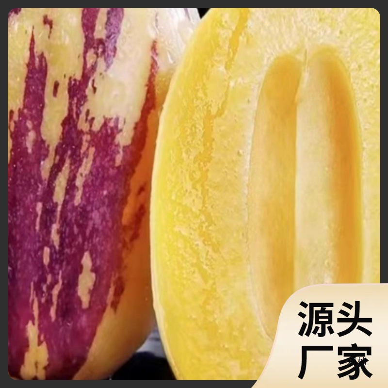 Fresh Whole Box of Gansu Ginseng Fruit with Free Shipping, Minqin Yellow-Fleshed Ginseng Fruit, Large Fruit, Long Fruit, Fruit