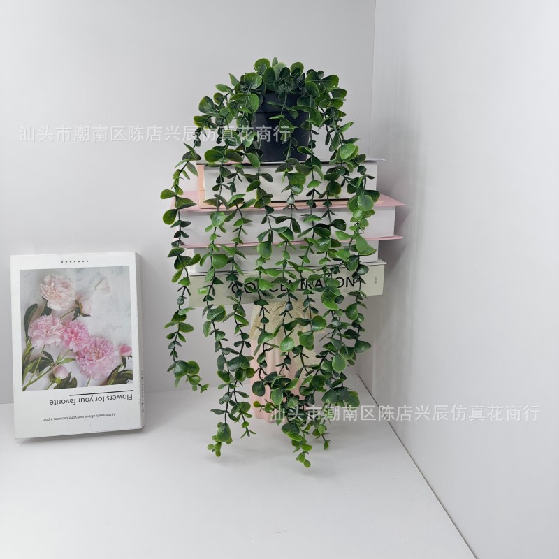 Cross-Border Amazon Artificial Artificial Flowers and Green Plants Mandala Eucalyptus Bonsai Pea Pod Hanging Potted Plants