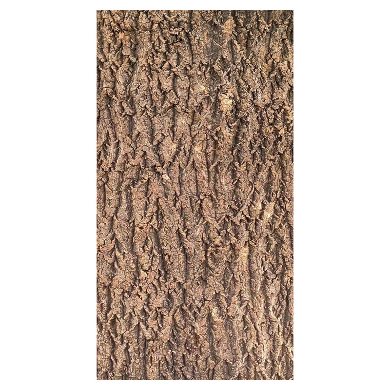 Champagne Real Bark Decoration Cork Spider Palace Lizard Escape Pet Landscape Climbing Pet Climbing