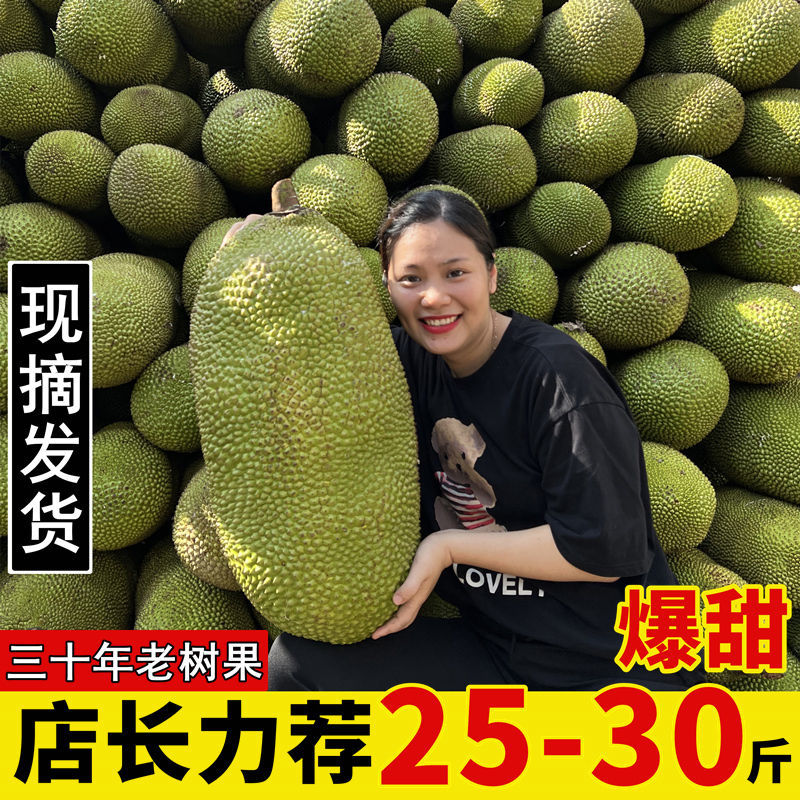 Hainan Sanya Yellow Flesh Jackfruit Fresh Fruit Fake Durian a Whole Red Flesh Jackfruit Wholesale Free Shipping