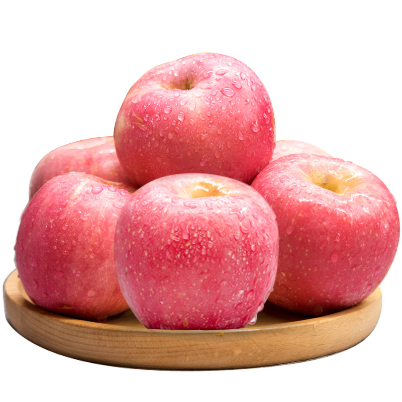 Shandong Yantai Red Fuji Apple Now Available Apple Red Fuji Dropshipping