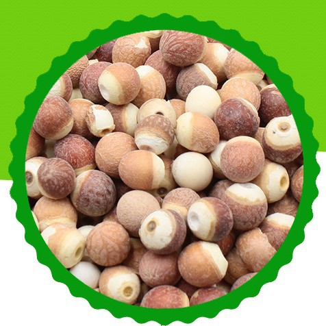 Low-Temperature Roasted Gorgon Rice Zhaoqing Gorgon Rice Chicken Head Rice Freshly Ground Grains