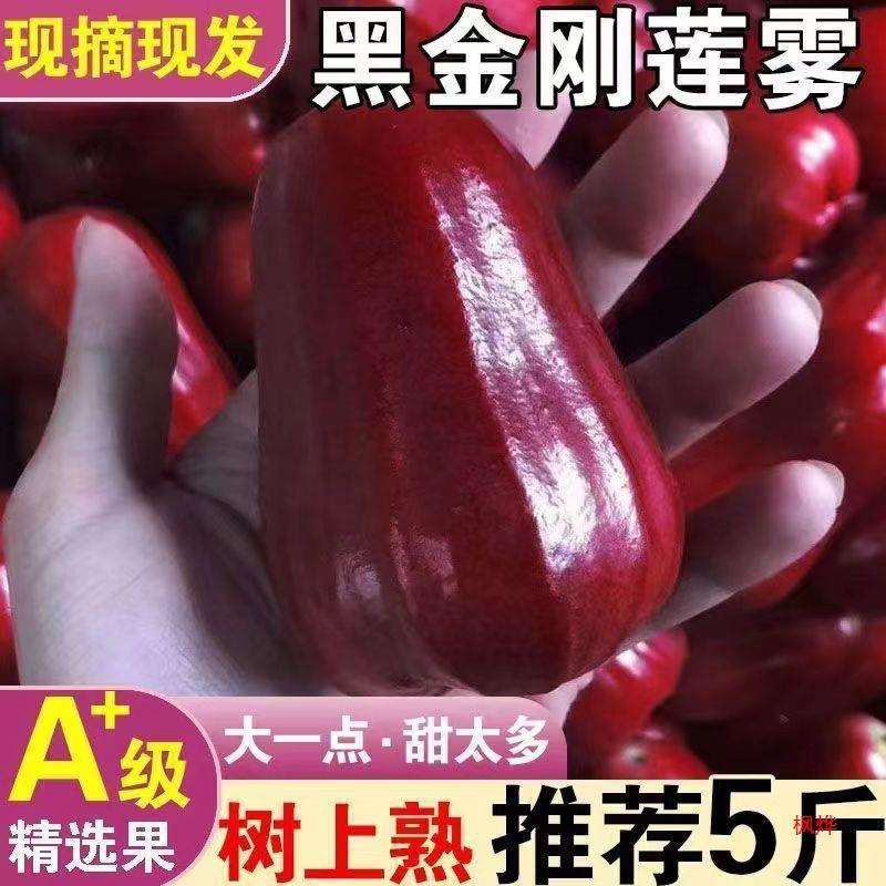 Хайнань Черный алмаз Лотосовый туман свежие фрукты целая коробка тропический туман сезонные бесплатная доставка для беременных женщин