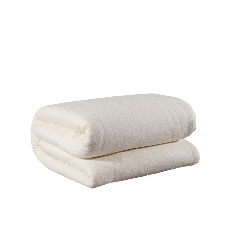 Manufacturer Customized Cotton Quilt Thickeneded Four-Season Quilt Dormitory Mattress Cotton Quilt Autumn and Winter Warm Quilt Core