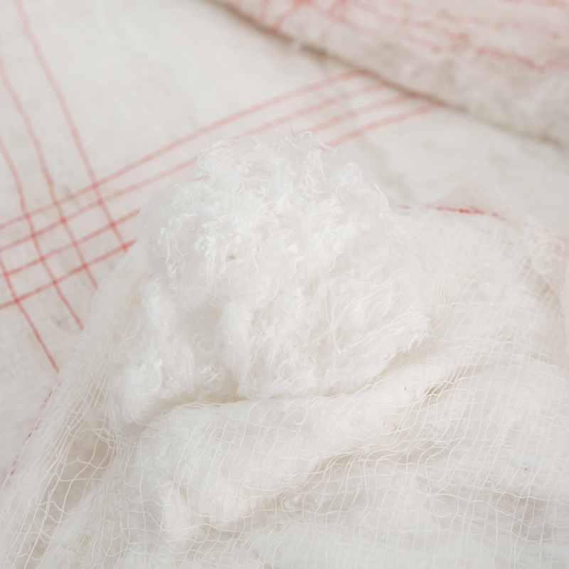 Quilt Cotton Batting Supermarket Wholesale Thickened Mattress Student Dormitory Spring and Autumn Quilt Core Summer Cool Quilt Pad Wholesale