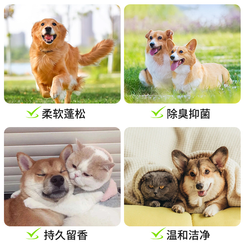 Pet Dog Shower Gel Long-Lasting Fragrance Golden Retriever Teddy Cat Antibacterial Deodorizing Bath Supplies Shampoo Wholesale