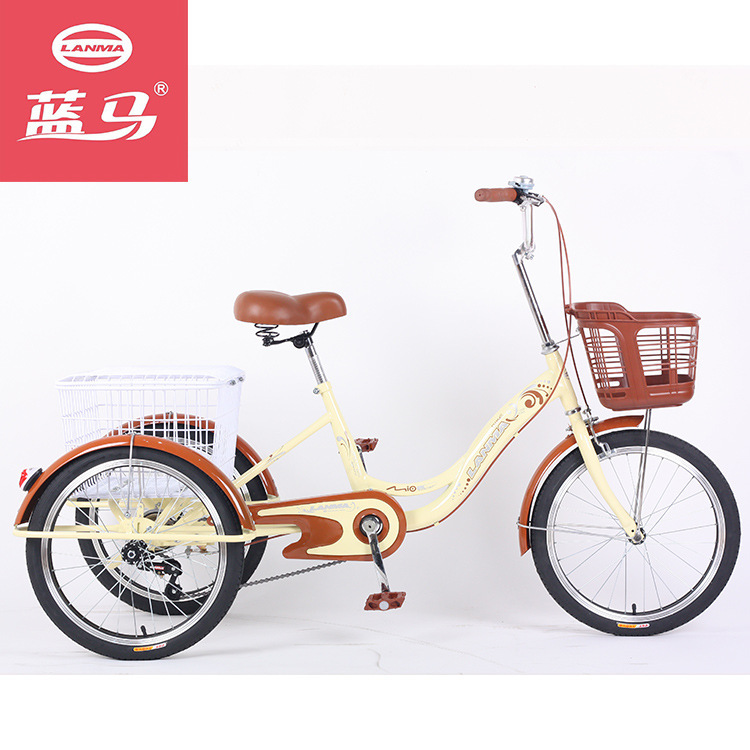 Blue Horse Factory Direct Sales Wholesale 20inch Elderly Power Tricycle Adult Pedal Tricycle with Frame Carrier