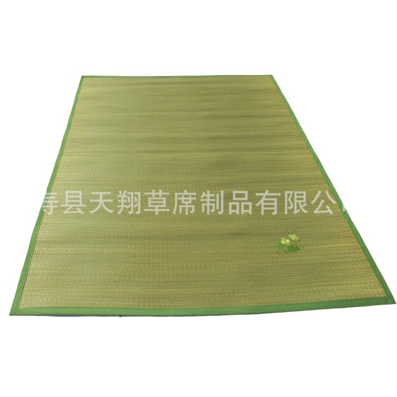 Thickened folding single-sided bed mat straw mat new student children's bed mat portable summer printed summer mat