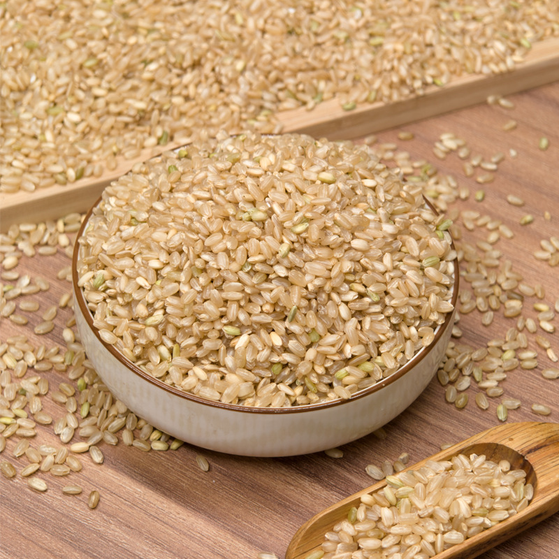 Brown rice wholesale 500g brown rice satiated whole grains coarse grains 1kg OEM OEM source factory