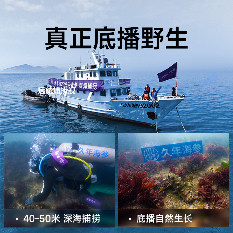 【4】Jiannian Dalian Ready-To-Eat Sea Cucumber, Fresh Wild Liaoshan Sea Cucumber, Gift Box for Elders, 7 Years