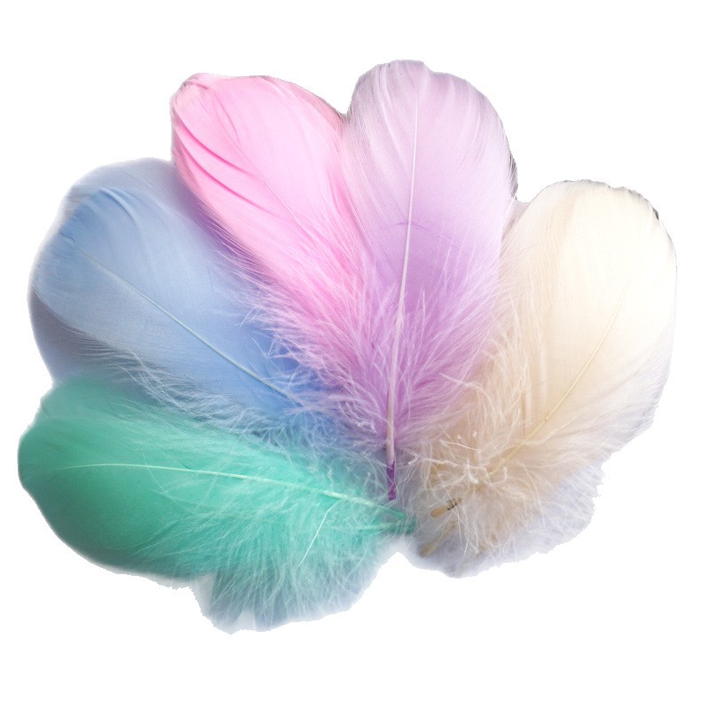 Color feather DIY floating dyeing goose feather dream catcher wave ball gift box filling decorative materials wholesale