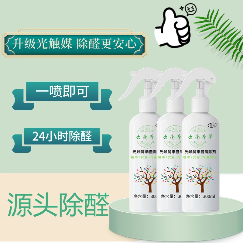 Photocatalyst Formaldehyde Remover New House Household Air Purification to Remove Formaldehyde and Deodorize