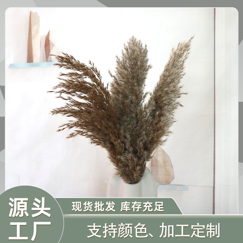 Кросс-браузерные сушеные цветы маленькая тростниковая фабрика оптовая свадебная атрибутика букет с оконным декором съемка