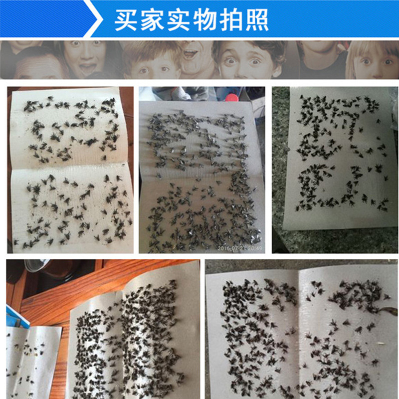 Fly Paper wholesale fly stickers strong fly glue fly paper fly board mosquito board summer fly trap fly killing board