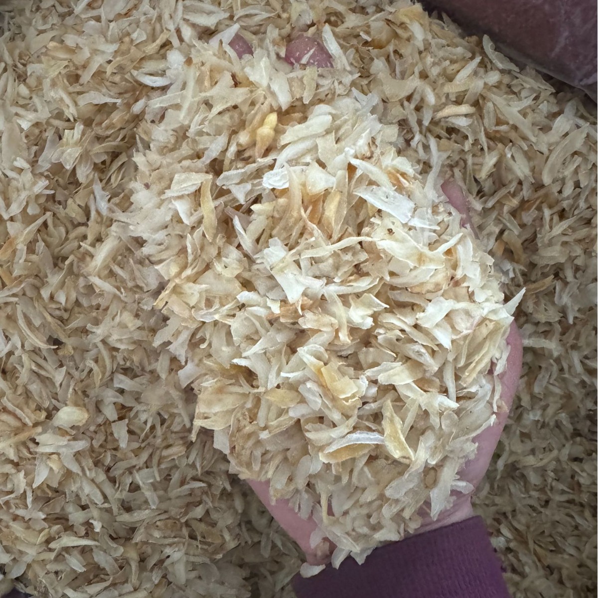 Gansu Lanzhou Lily Dried Special Grade 500g Vegetable Lily New Arrival Sweet Lily Dried Sulfur-Free Chinese Medicinal Materials Wholesale Agent