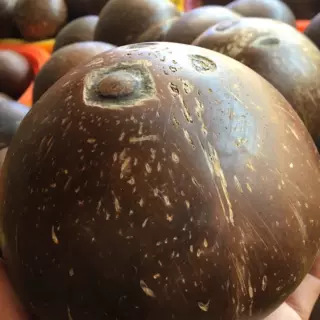 Кокосовый король Хайнань, старый кокос, оптовая продажа, куриный кокос, кокосовый фрукт, кокосовое мясо, сок, суп