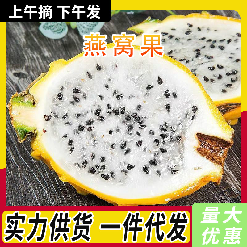 Свежий золотой фрукт гнезда, редкий фрукт, редкий единорог фрукт, сезонный желтокожий беломякотный драгон фрукт, целая коробка Бесплатная доставка