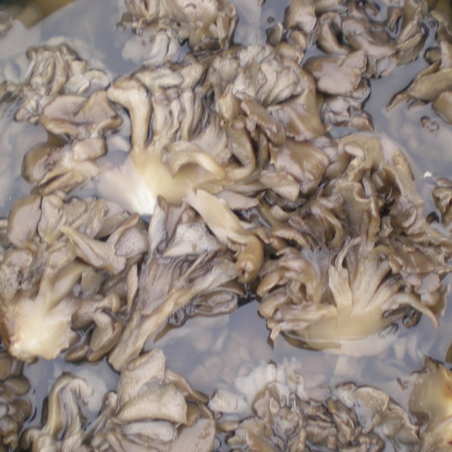 Salted Gray Tree Flower, Professional Cultivation Production Technology, Nutritious Hot Pot Soup and Cooking, Wholesale Manufacturer