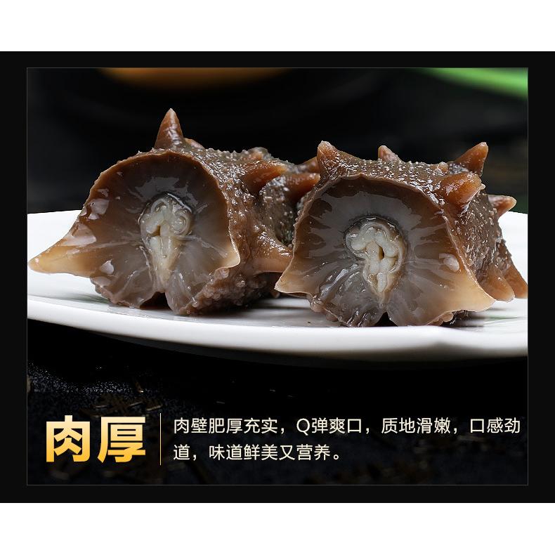 Dalian Dried Sea Cucumber Wild Liao Cucumber Mini Light Dried Sea Cucumber Apostichopus japonicus Express Hotel Supply Instant Pure Light Dried