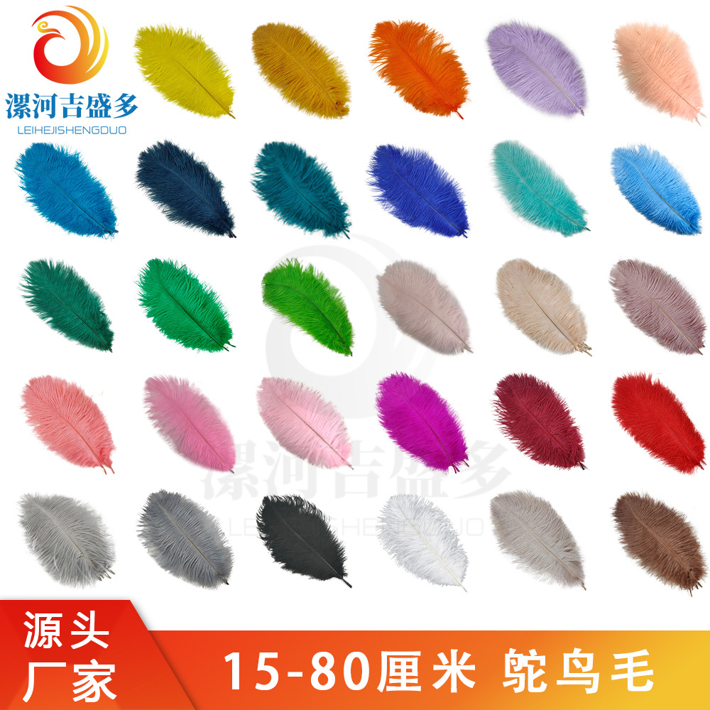 Factory Direct Sales 15-80cm Ostrich Feather Stage Performance White Feather Wedding DIY Decoration Ostrich Feather Wholesale