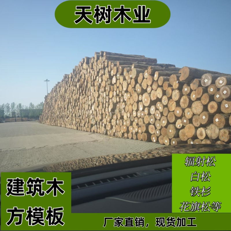 Строительные пиломатериалы из Цзянсу, использование опалубочной древесины на строительных площадках, ель, радиата, белая сосна и лиственница