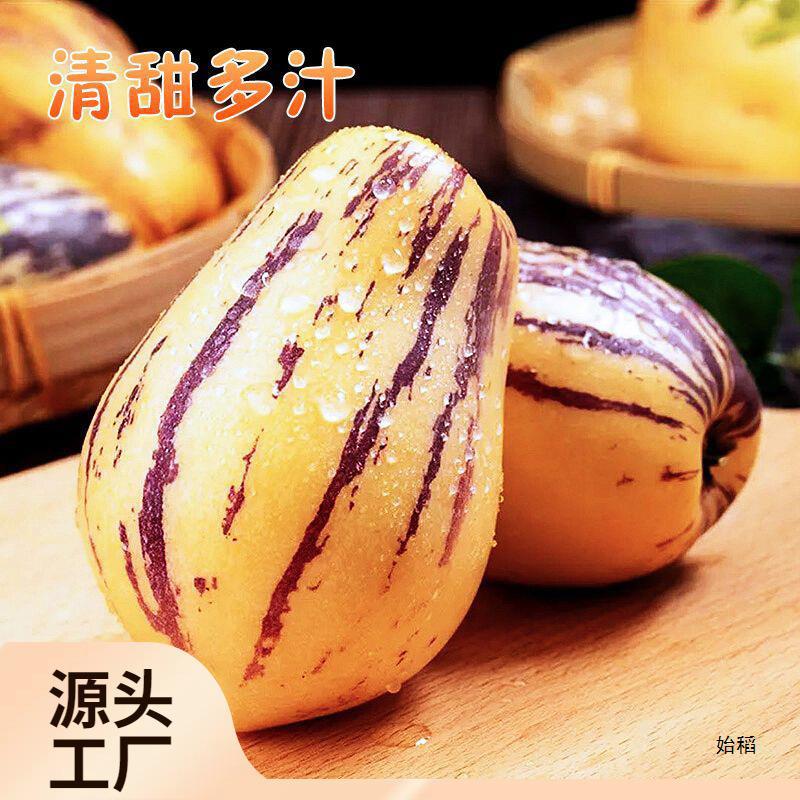 Seasonal Yellow-Fleshed Large Fresh Fruits of Gansu Minqin Desert Ginseng Fruit, Whole Box of 5kg Long Fruits with Free Shipping