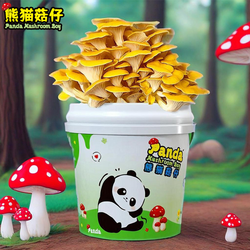 Mushroom Potted Planting Barrel Balcony Kidsren's DIY Pleurotus Culture Edible Fungus Bag Box Stick Home School