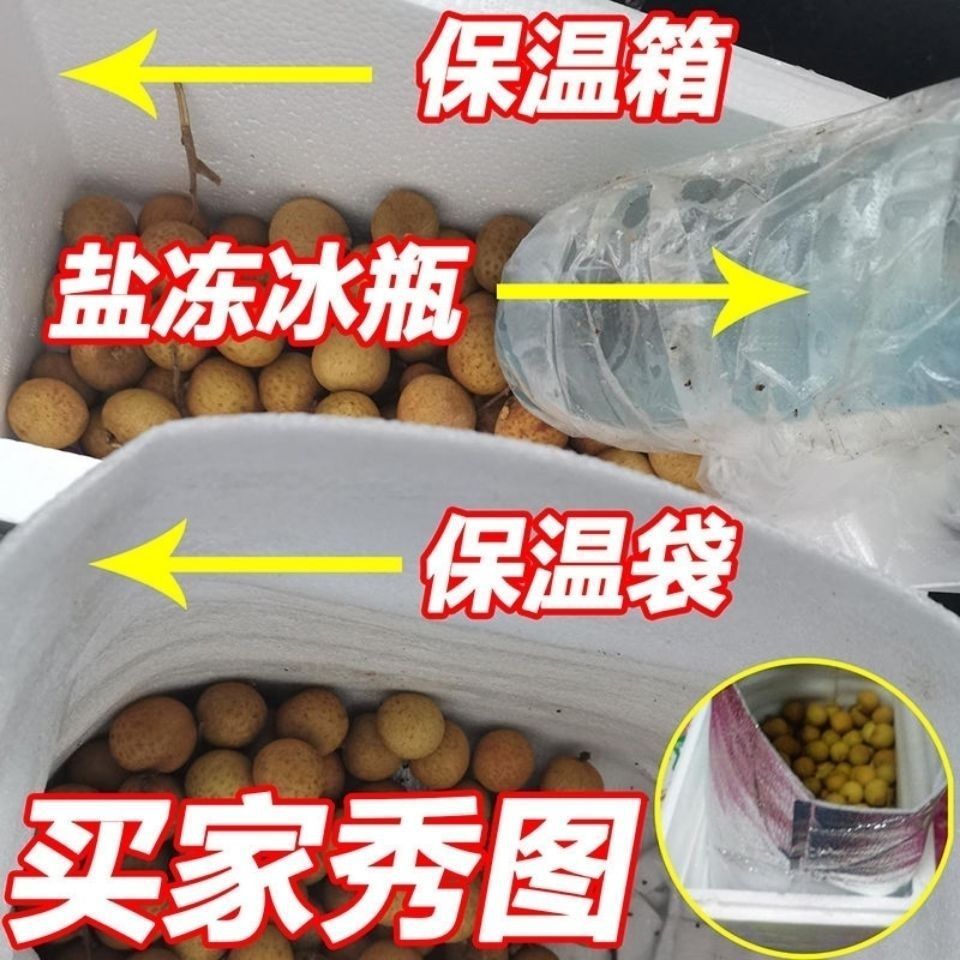 Thai Longan Freshly Imported Fresh Longan Fruit Seasonal Whole Box Seasonal Fresh Longan Large Fruit with Branches and Net Fruit