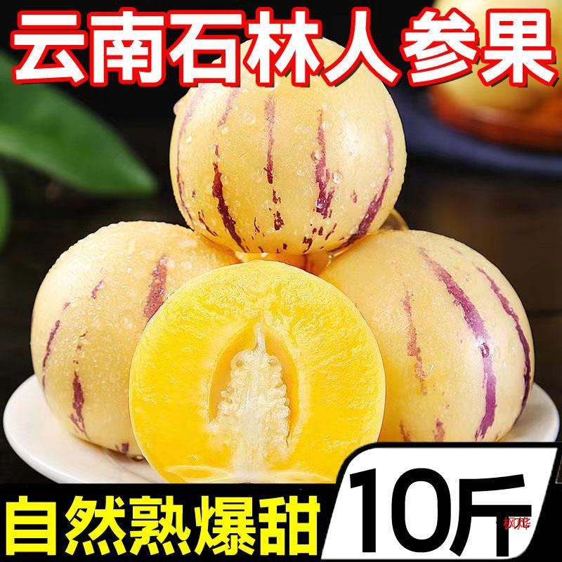 Гinseng Fruit из Шилин, Юннань 5кг свежие фрукты, круглые фрукты, сезонные