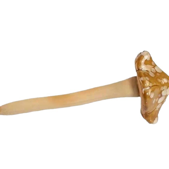 Cross-Border Ceramic Ornaments for Villa Backyard Courtyard Water Feature Landscaping Rockery Mushrooms, Home Decor European and American Style