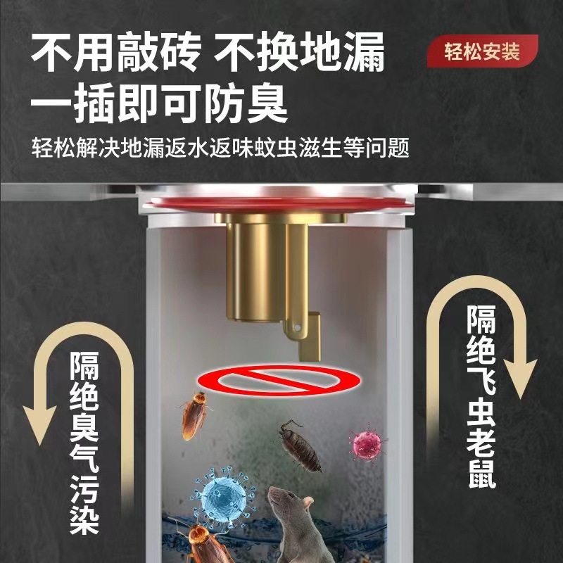 Brass Anti-odor Floor Drain Core, Universal Floor Drain Outlet, Vertical Drainage, Large Displacement with Hair Blocking Net, Anti-blocking, Insect-proof and Odor-proof