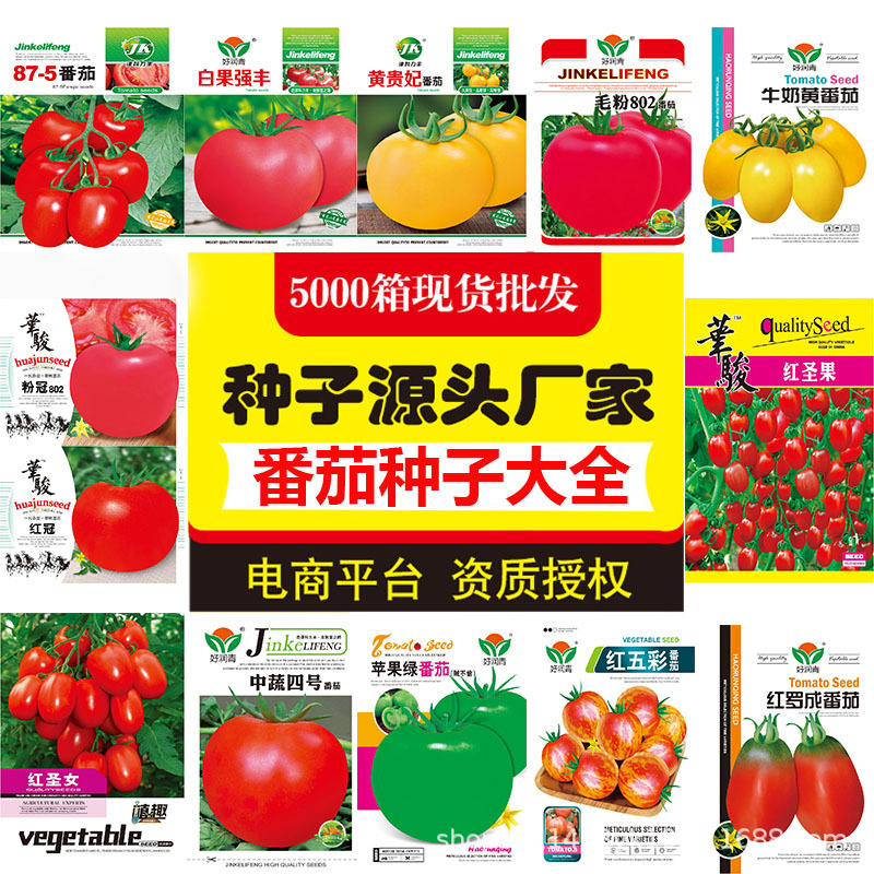 Complete List of Tomato Seeds, Pink Sand Flesh, Red, Yellow and Black Tomato Seeds, Cherry Tomatoes, Four-Season Potted Seeds