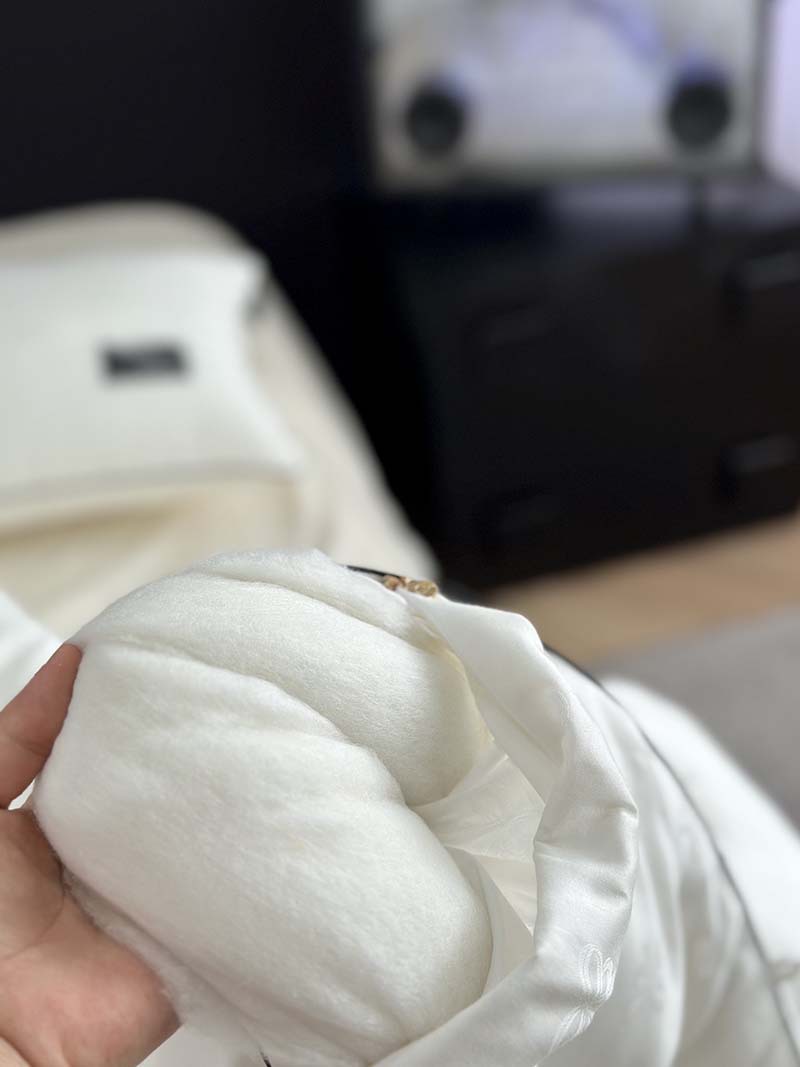 High quality class A 60 cotton jacquard 20% mulberry silk snow velvet quilt spring and autumn thickened winter quilt quilt quilt core