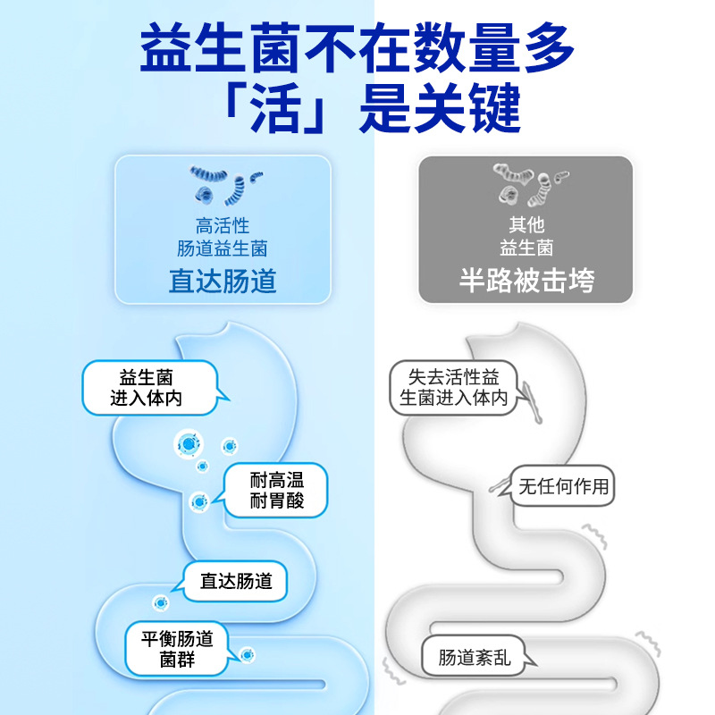 Pet Probiotics, Universal Nutritional Supplement for Cats and Dogs, Active Probiotics, Pet Gastrointestinal Flora, Easy to Digest Gastrointestinal Treasure