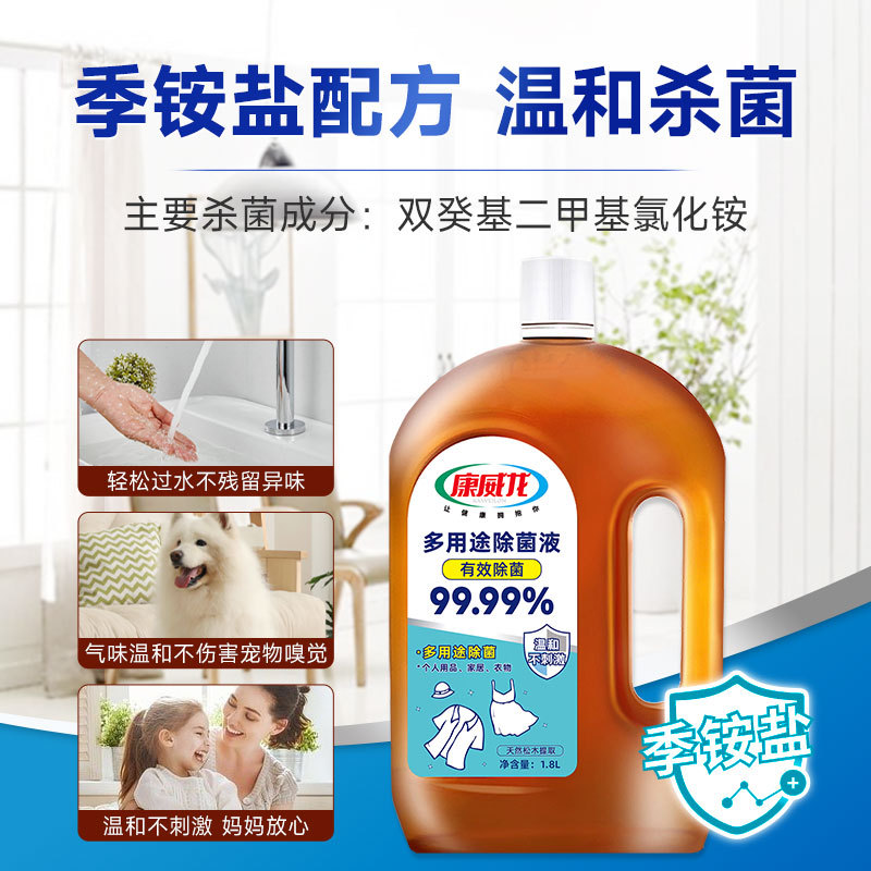 Conveyron Multi-purpose Clothes Sterilization Liquid Household Indoor Sterilization Cleaning Sterilization Disinfectant for Household