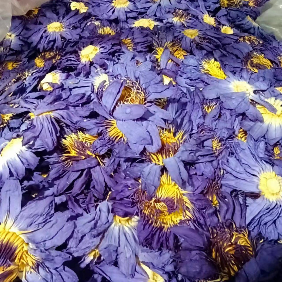 2025 Dried Blue Lotus, Dried Water Lily, Nine-Grade Perfume Lotus Blue Dried Flower, Freeze-Dried Blue Lotus
