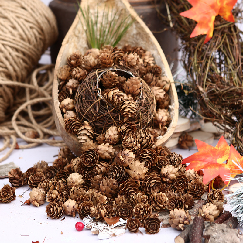 Christmas Pinecone Small Pinecone Pinecone Pinecone Pinecone Flower Larch Mini Pine Dried Flower Christmas Decoration