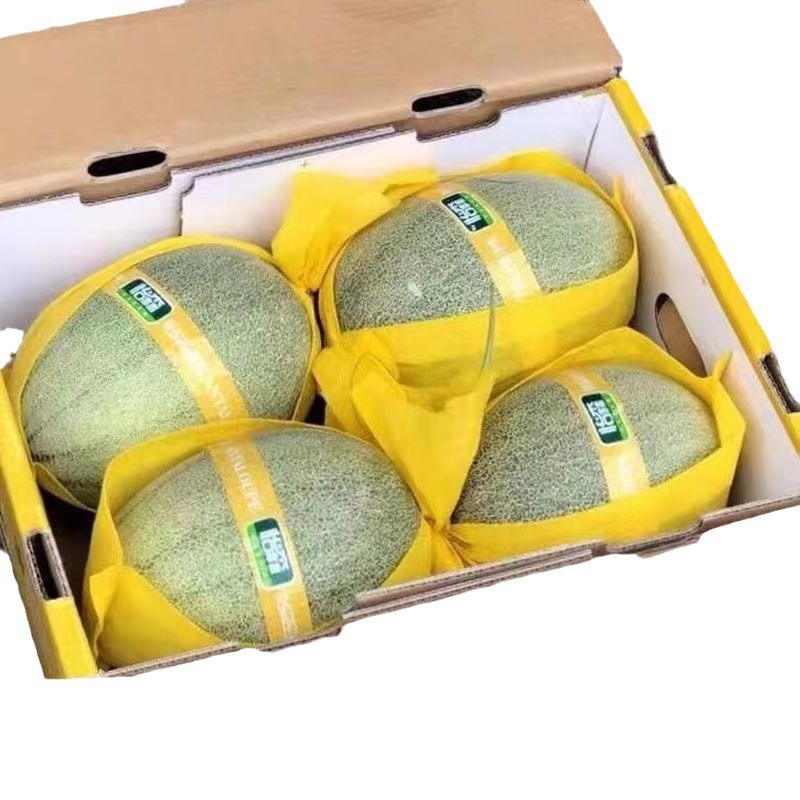 Hami Melon Xinjiang Sweet Thin-Skinned Xinjiang Cantaloupe Direct Delivery Free Shipping a Whole Box Gift Box Wholesale Special Price Free Shipping