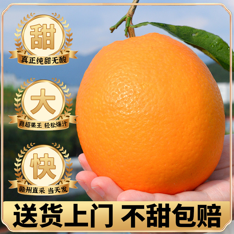 Jiangxi Gannan Navel Oranges 5kg Oranges Seasonal Fruits Fresh Ganzhou Jelly Hand-Peeled Rock Sugar Sweet Oranges Whole Box