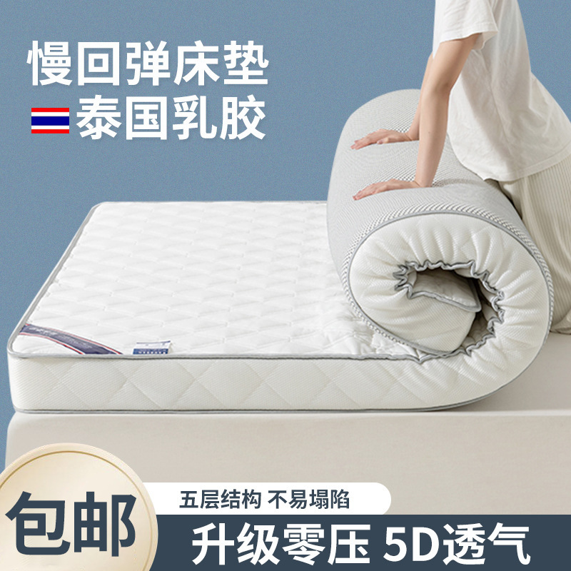 New Upgraded Latex Mattress Rental House Home Floor Sleeping Mat Student Thickened Tatami Mattress Dormitory Cushion Wholesale