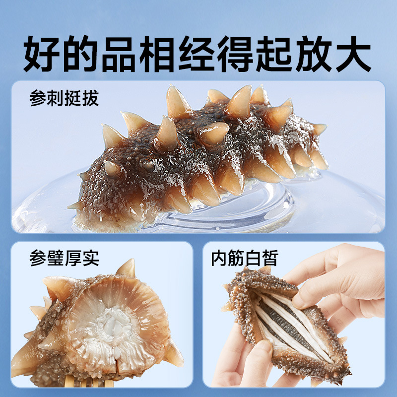 【4】Jiannian Dalian Ready-To-Eat Sea Cucumber, Fresh Wild Liaoshan Sea Cucumber, Gift Box for Elders, 7 Years