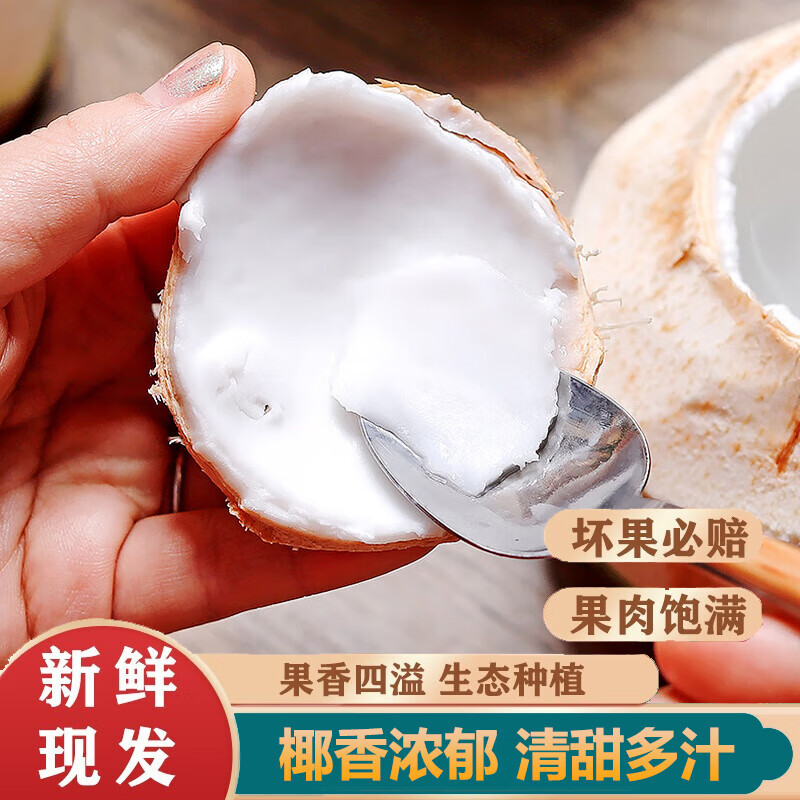 Thai Perfume Coconut Green Fresh Coconut Whole Box Peeled Pregnant Women Milk Coconut Extra Large Fruit Ready in Stock Free Shipping