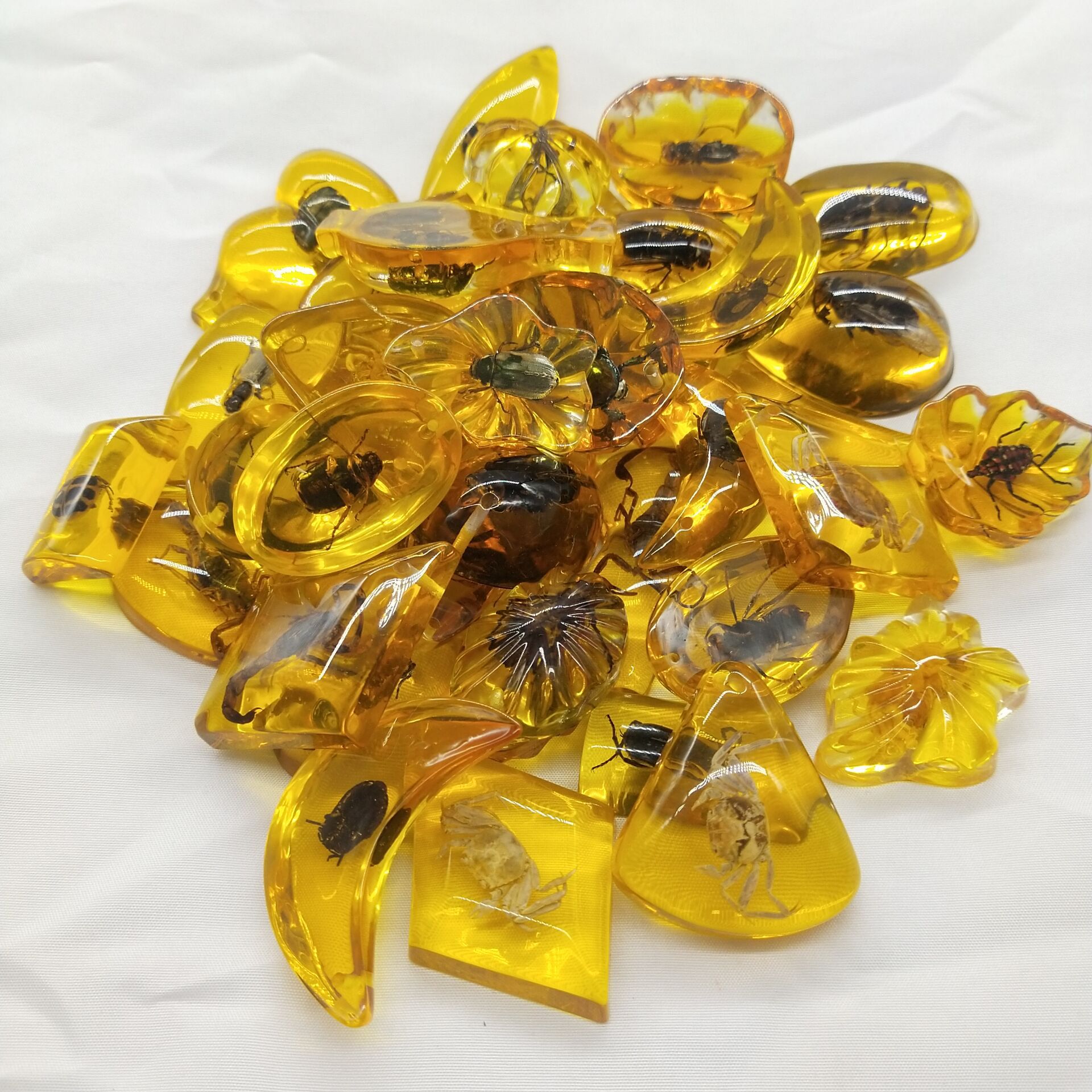 small size True Specimen Insect Amber Accessories Children's Digging Ancient Toys Blind Box Accessories Supply Factory in stock