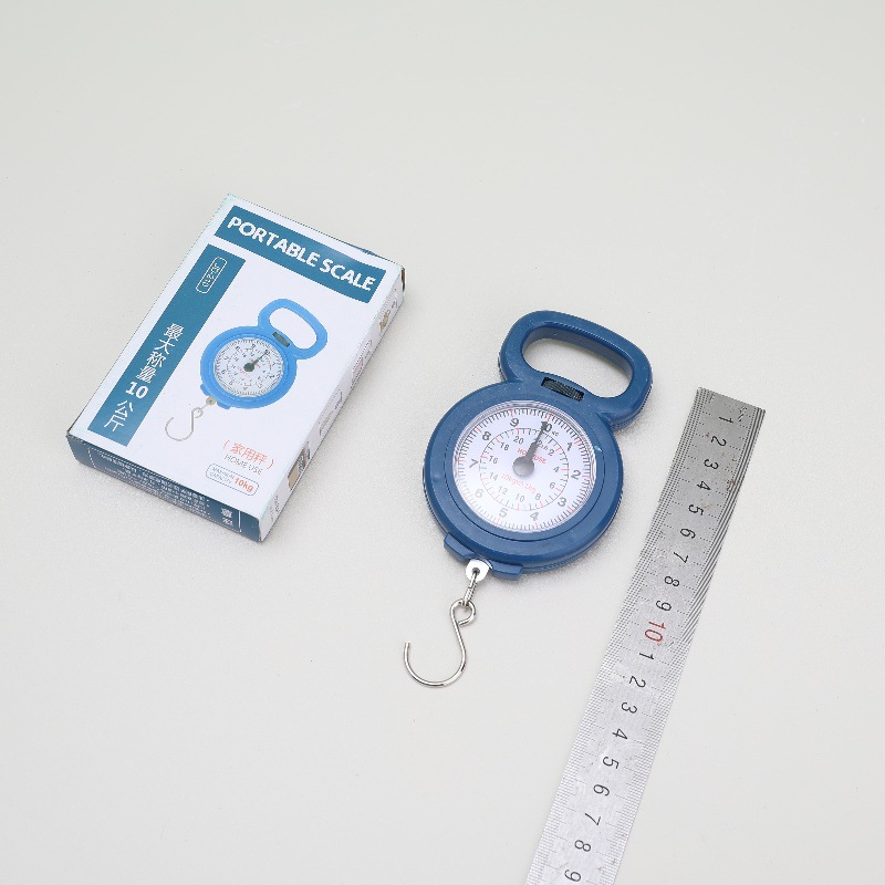 Precision Mini Spring Scale, High-precision Grocery Shopping Household Small Satchel Scale, Student Teaching Machinery Hook Scale