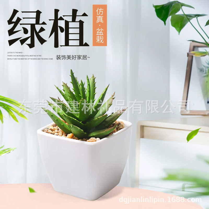Прямые поставки горшечных растений, зеленых растений, мясистых искусственных цветов, горшечных искусственных растений, домашнего декора, скандинавская индивидуализация