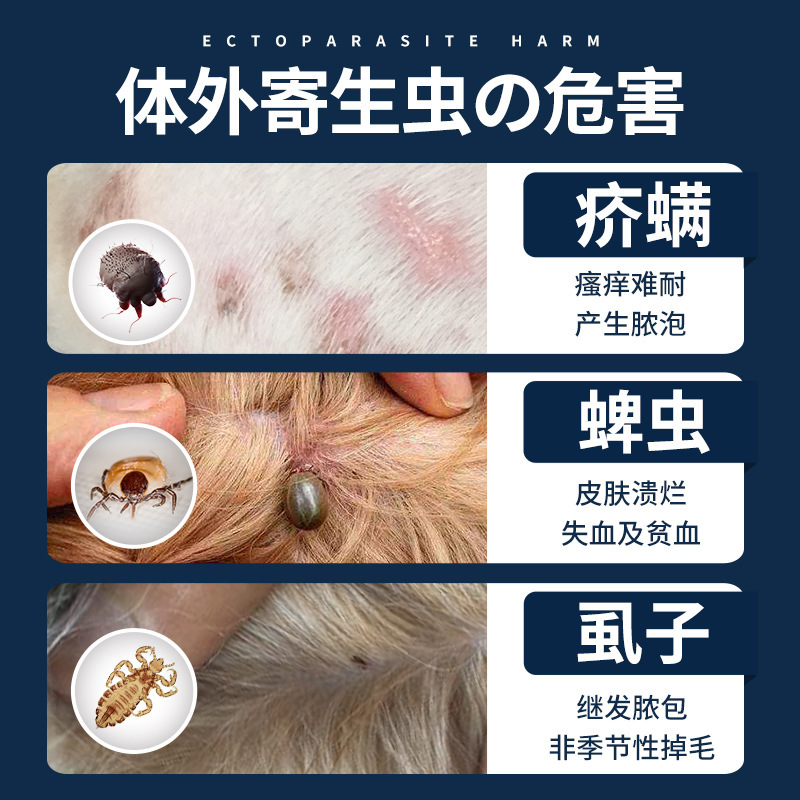 Dog Anthelmintic Medicine, Internal and External Anthelmintic Medicine, Cat Flea and Tick Abamectin Transdermal Solution Drops