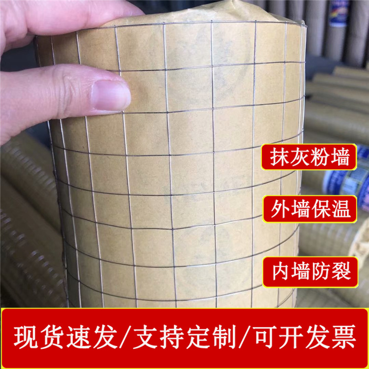 Steel Structure Galvanized Wire Mesh Plastering Interior and Exterior Wall Insulation Hanging Net Rock Wool Iron Wire Welded Mesh Plastering Wall Net