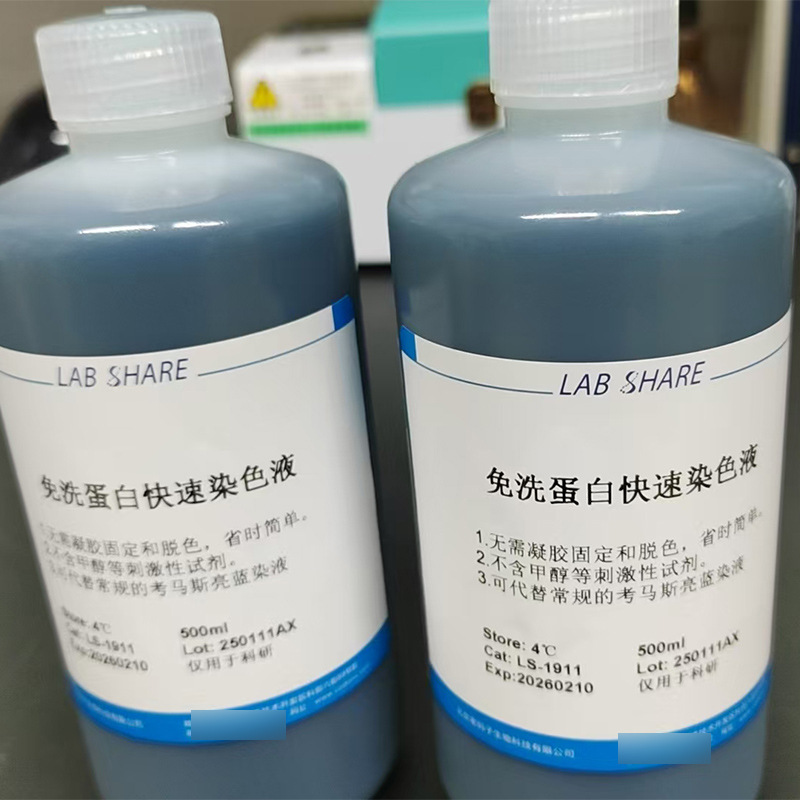 Wash-free protein rapid staining solution microbiological experiments for scientific laboratory manufacturers supply only