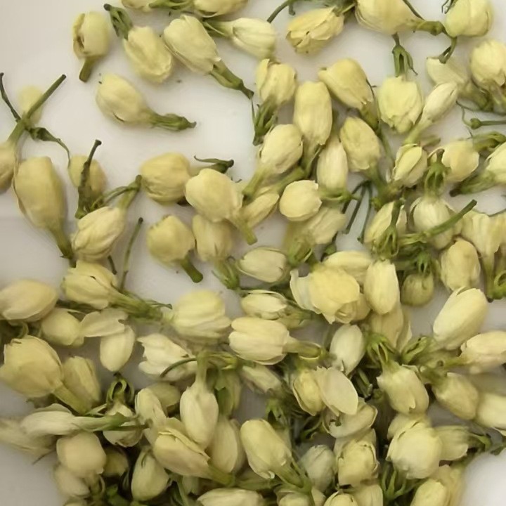 Direct Sales from 2025 ☞ Jasmine Buds