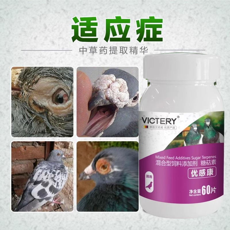 Pigeon Medicine Youguankang 60 Tablets/Bottle Yijara Breathing Road Single-Eye Wind-Liquid Tears Cough Pigeon Health Care Product Special
